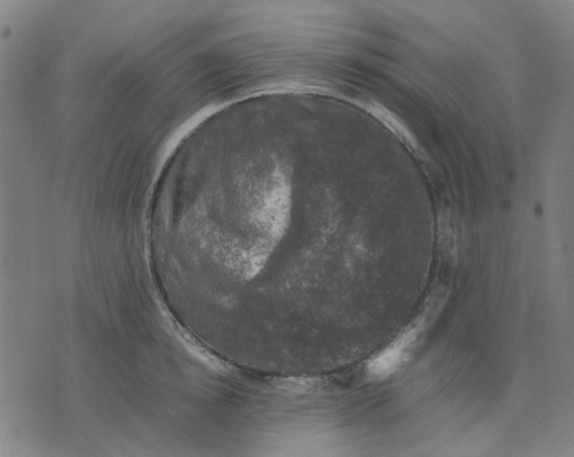 X0000074230854200609081619