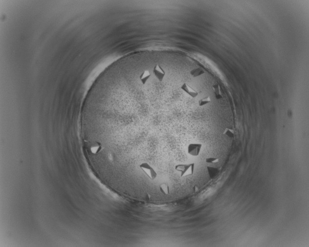 X0000074230855200609081619