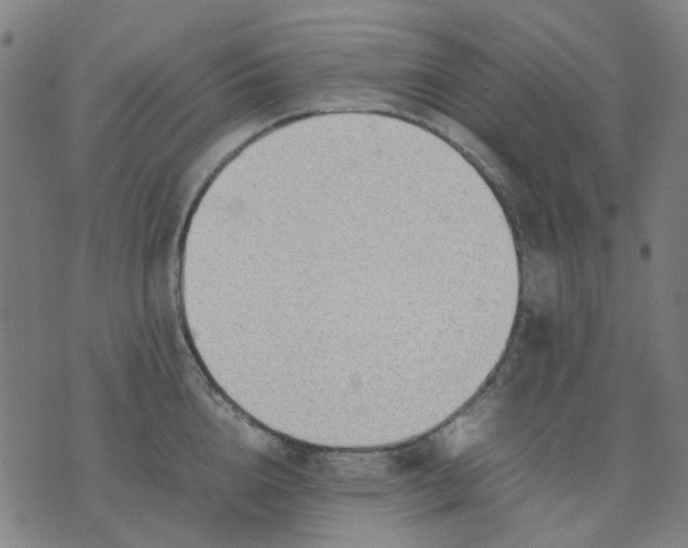 X0000074230856200609081619