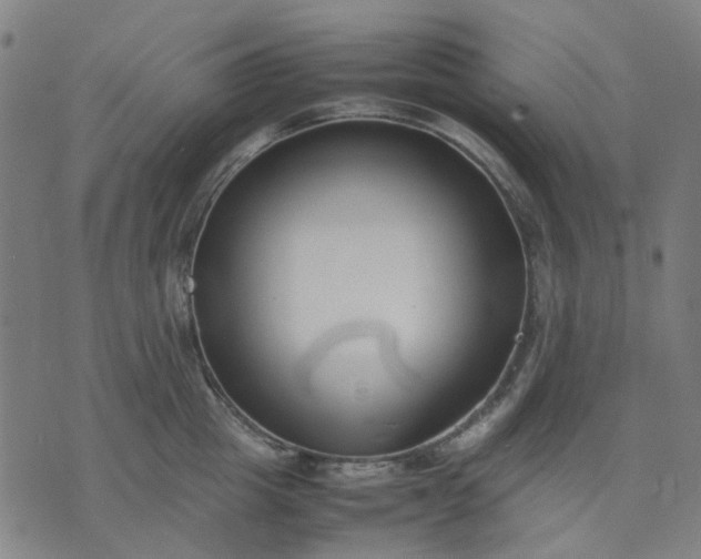 X0000074230857200609081619