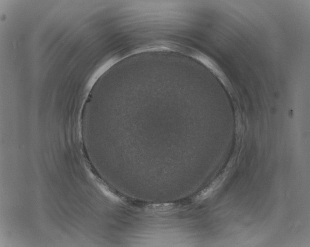 X0000074230858200609081619