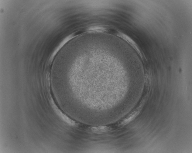 X0000074230859200609081619