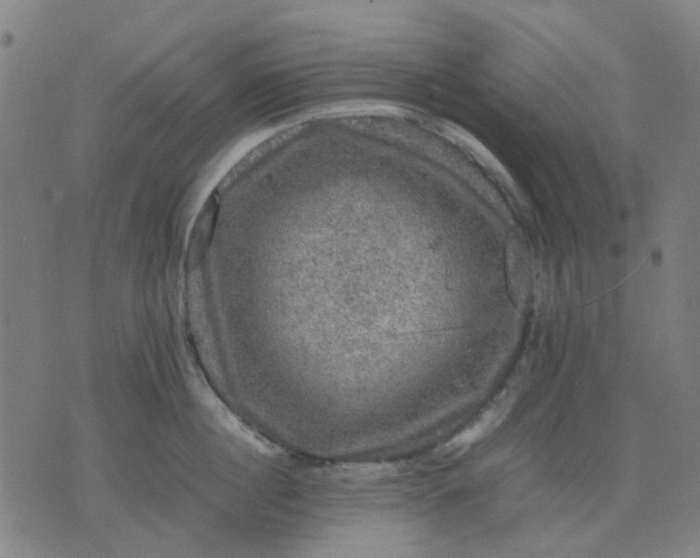 X0000074230860200609081619