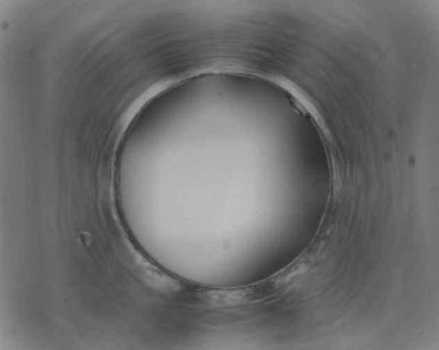 X0000074230861200609081619