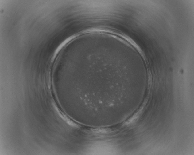 X0000074230862200609081619