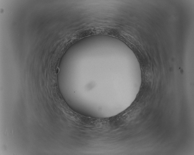 X0000074230865200609081618