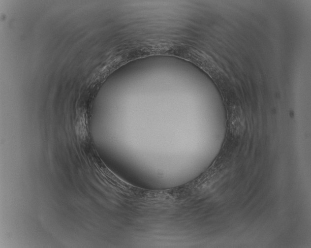 X0000074230866200609081618