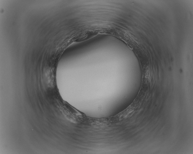 X0000074230868200609081618