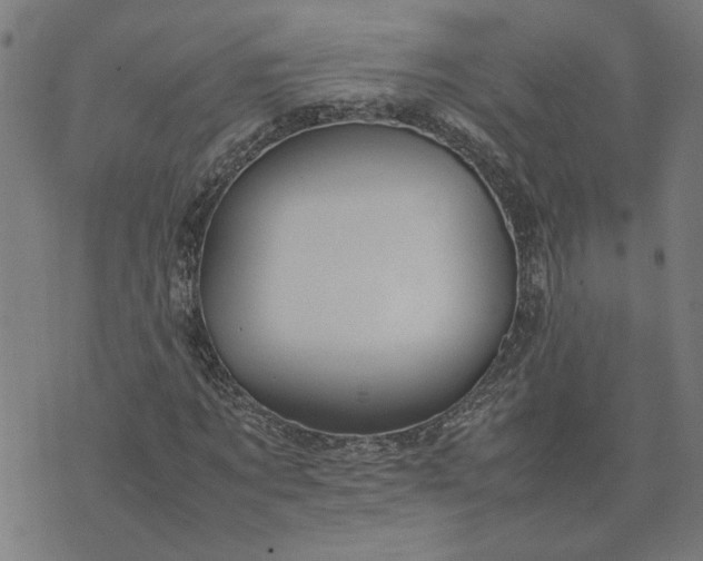 X0000074230869200609081618