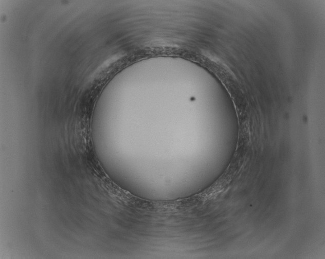 X0000074230870200609081618