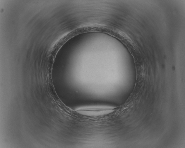 X0000074230872200609081618