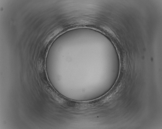 X0000074230873200609081618