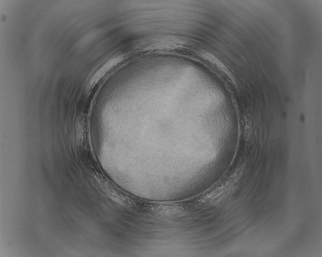 X0000074230874200609081618