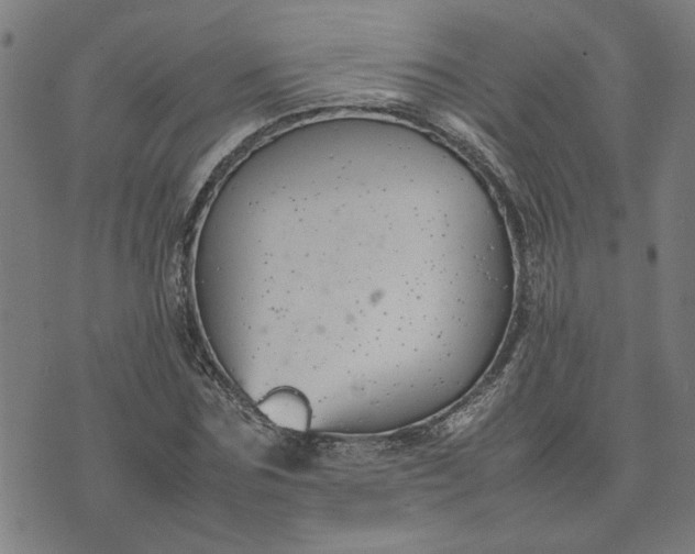 X0000074230875200609081618