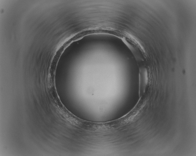 X0000074230876200609081618