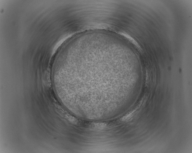 X0000074230878200609081618