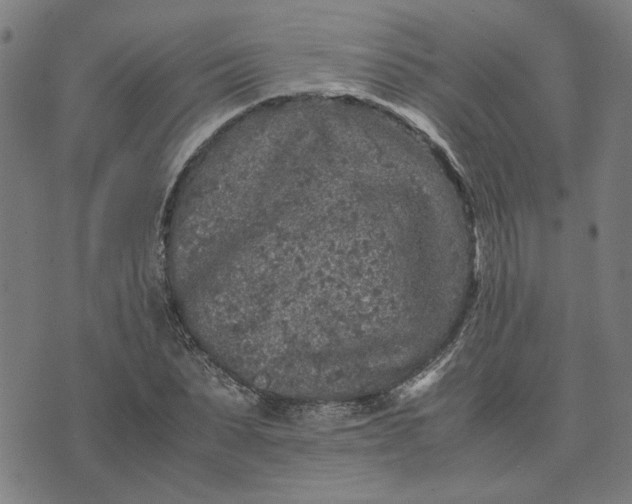 X0000074230879200609081618