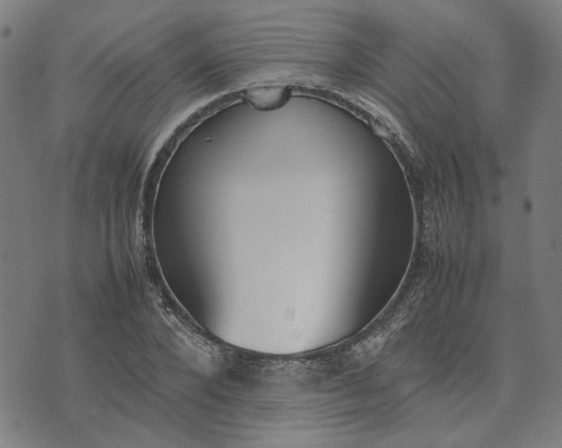 X0000074230880200609081618