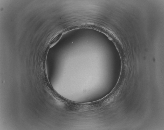 X0000074230881200609081618