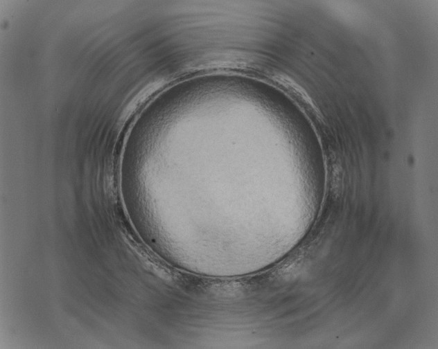 X0000074230882200609081618