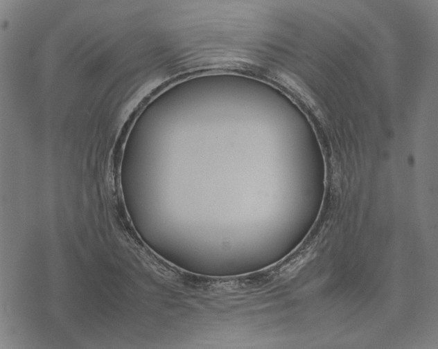 X0000074230883200609081618