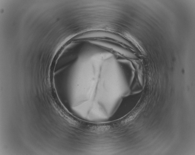 X0000074230884200609081618