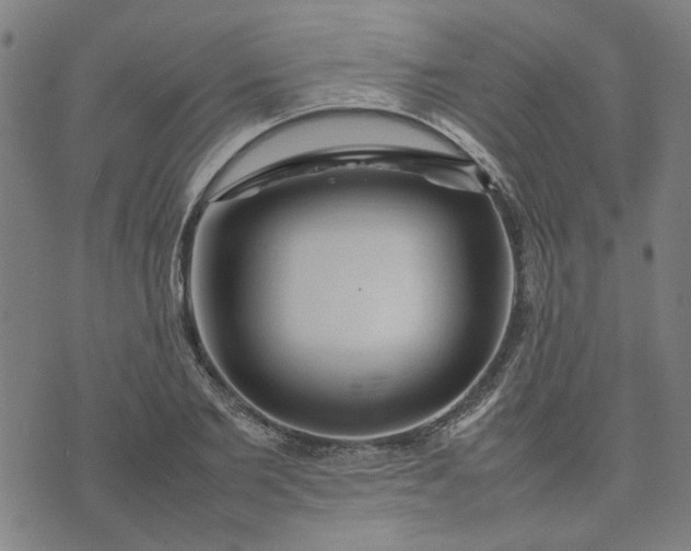 X0000074230885200609081618