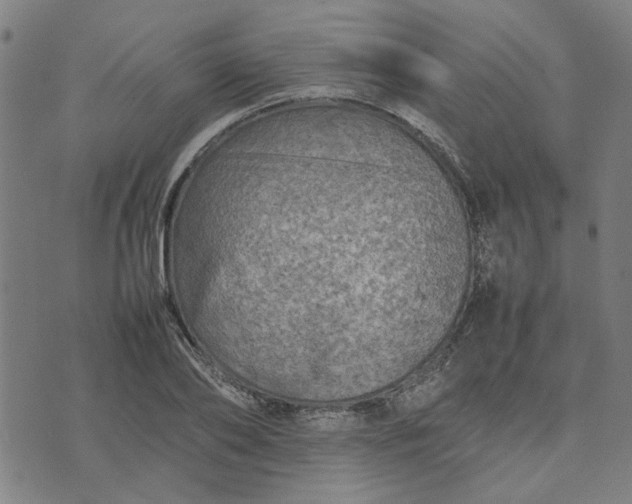 X0000074230886200609081618