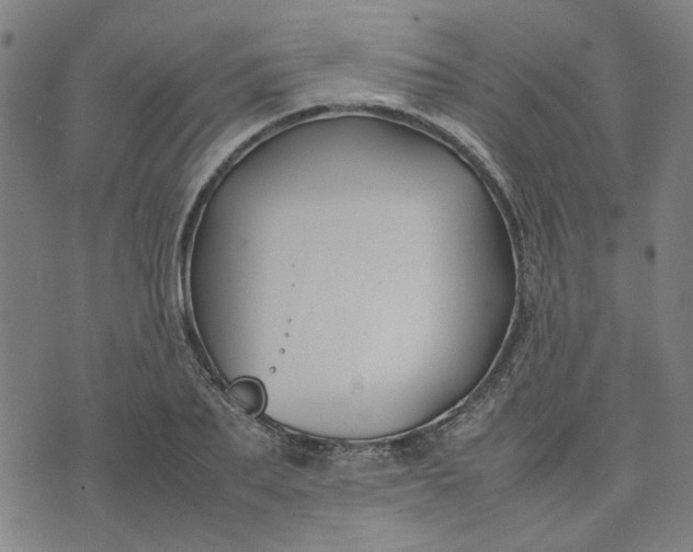 X0000074230887200609081618