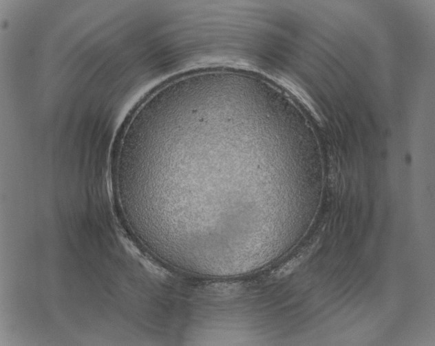 X0000074230888200609081618