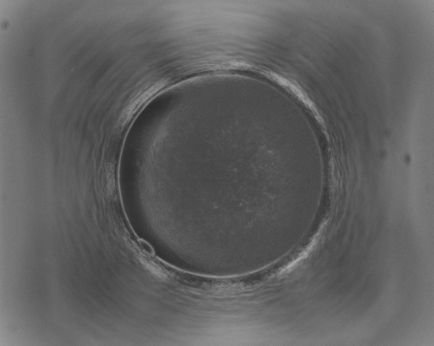 X0000074230889200609081618