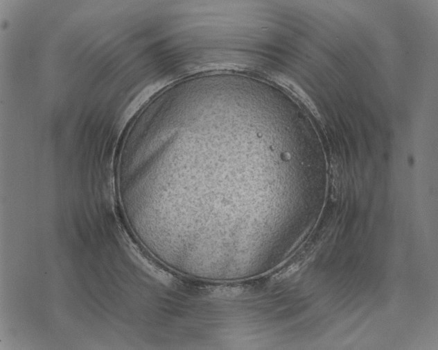 X0000074230890200609081618