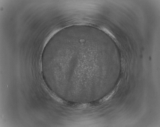 X0000074230891200609081618