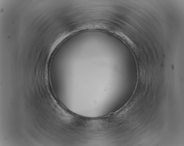 X0000074230894200609081618