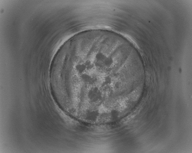 X0000074230895200609081618