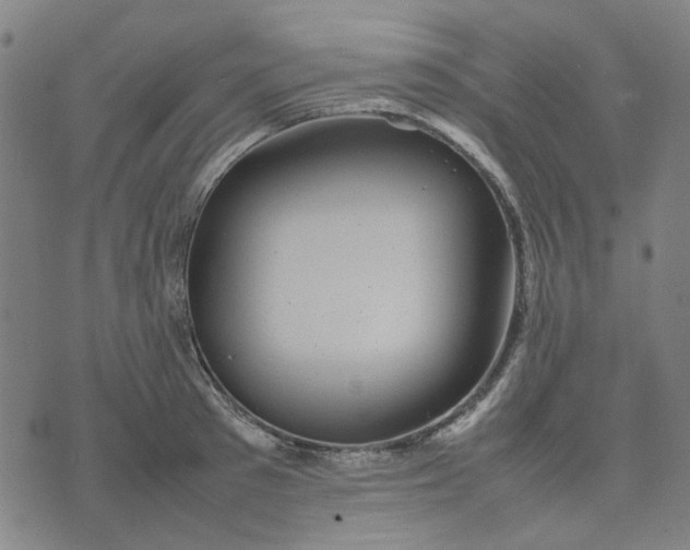 X0000074230897200609081618