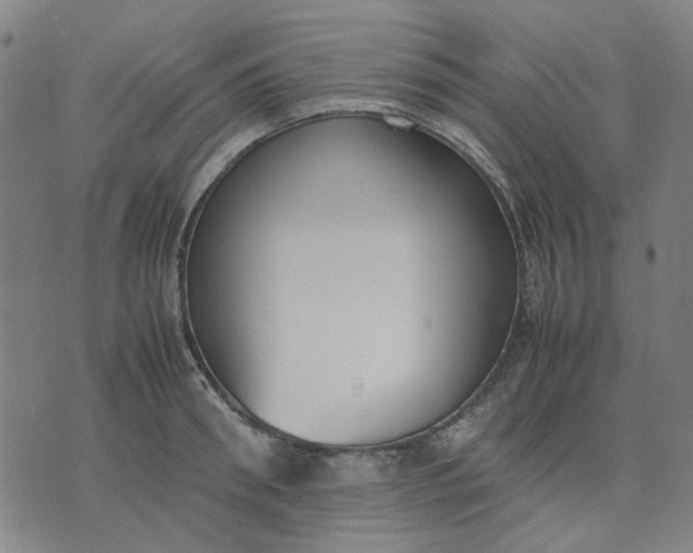 X0000074230898200609081618