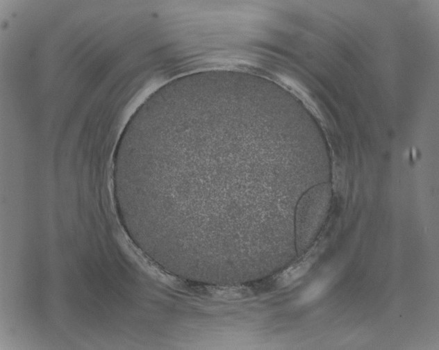 X0000074230899200609081618