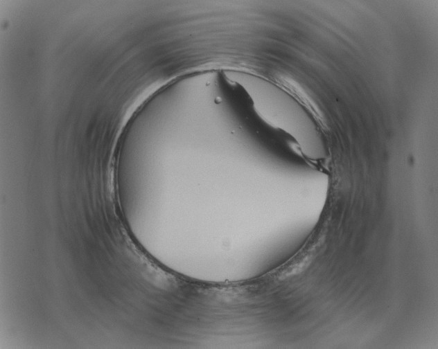 X0000074230900200609081618