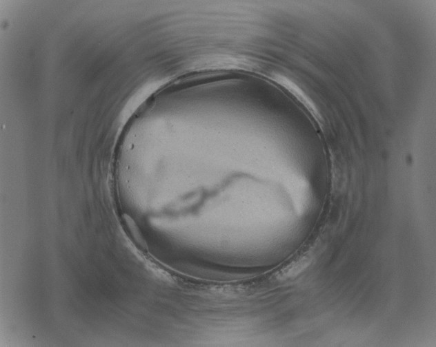 X0000074230901200609081618