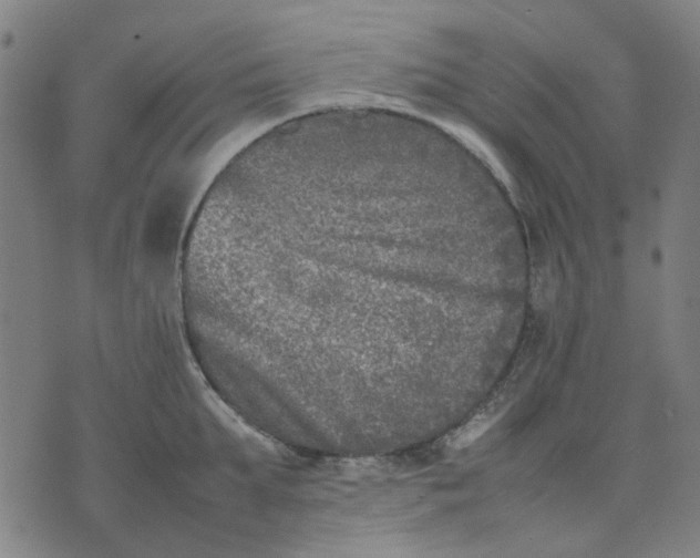 X0000074230903200609081618