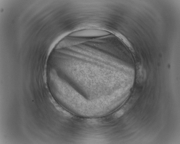 X0000074230904200609081618