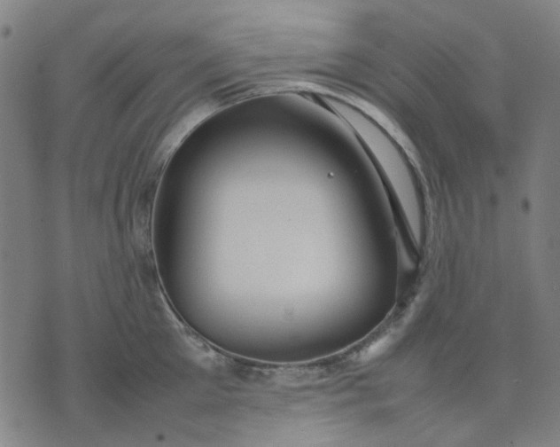 X0000074230905200609081618