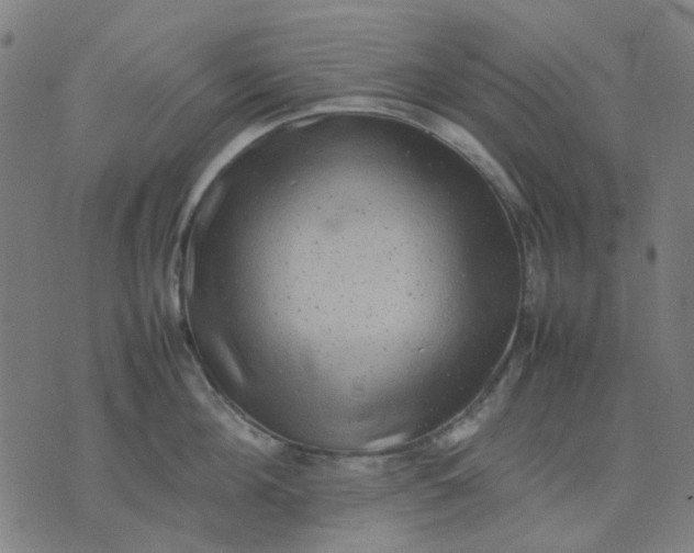 X0000074230908200609081618