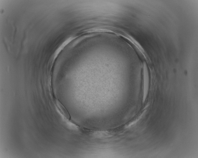 X0000074230909200609081618