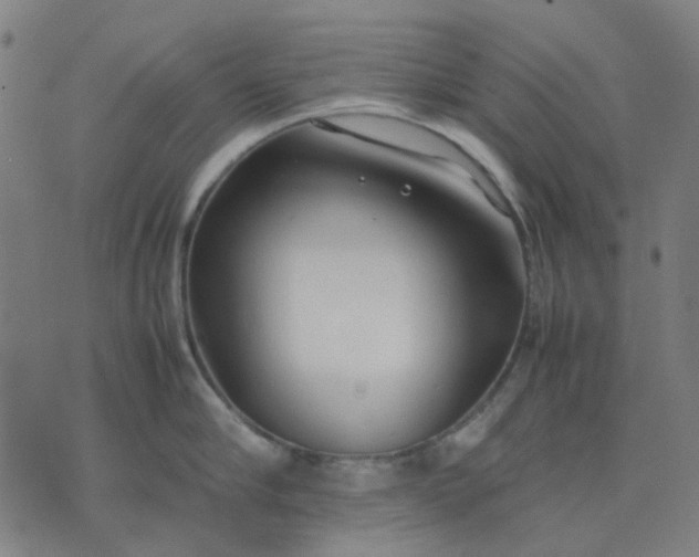 X0000074230910200609081618