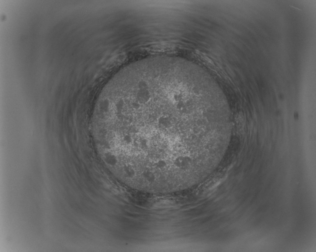 X0000074230913200609081617