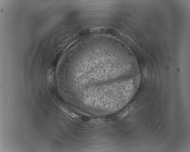 X0000074230914200609081617