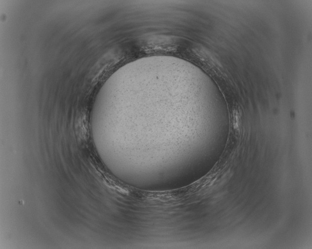 X0000074230915200609081617