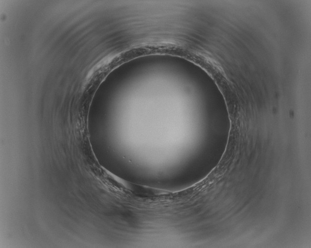 X0000074230920200609081617